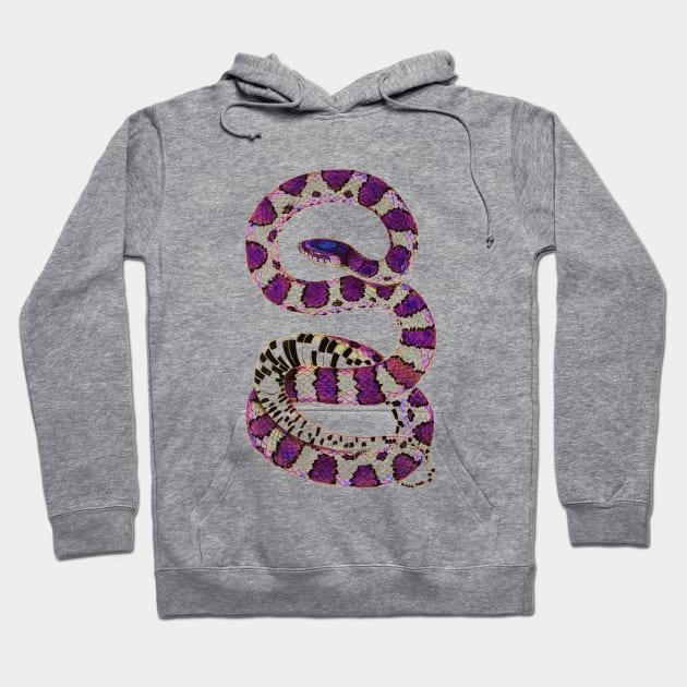 serpent,cobra,reptile,viper,venom,lizard,rattlesnake,king cobra,dragon,hydra,poison,venomous,plumber's snake,pythonidae,pythons,auger,python,squamata,serpentine,worm,big,ophidian,rattlesnakes,medusa,snakebite Hoodie by vabontchi